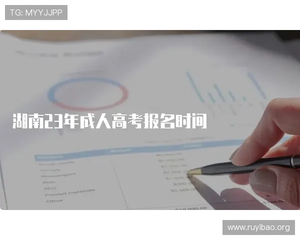 壹号账号注册登录入口官网网址官方公告及最新动态一览